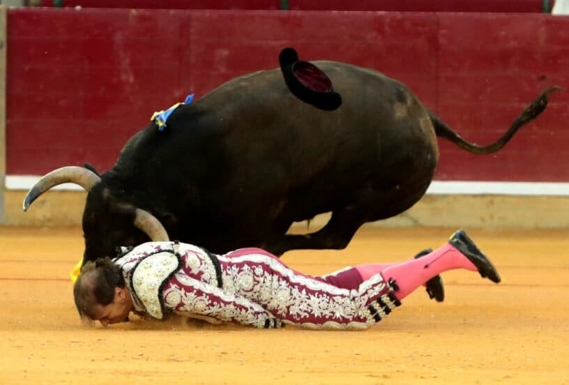 Bullfighter Clinging To Life After Being Gored By Bull Wildest