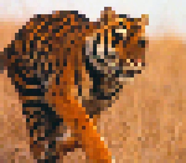 Campaign Creates Photos Of Species With As Many Pixels As There Are Animals Left