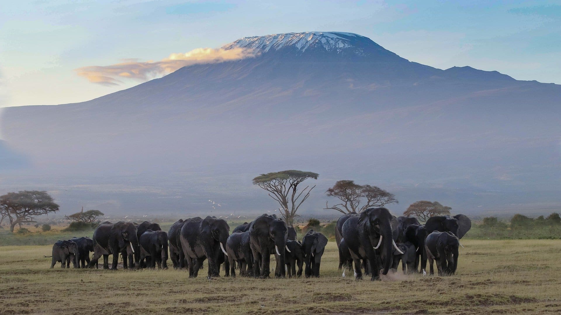 14 Spectacular National Parks In Africa