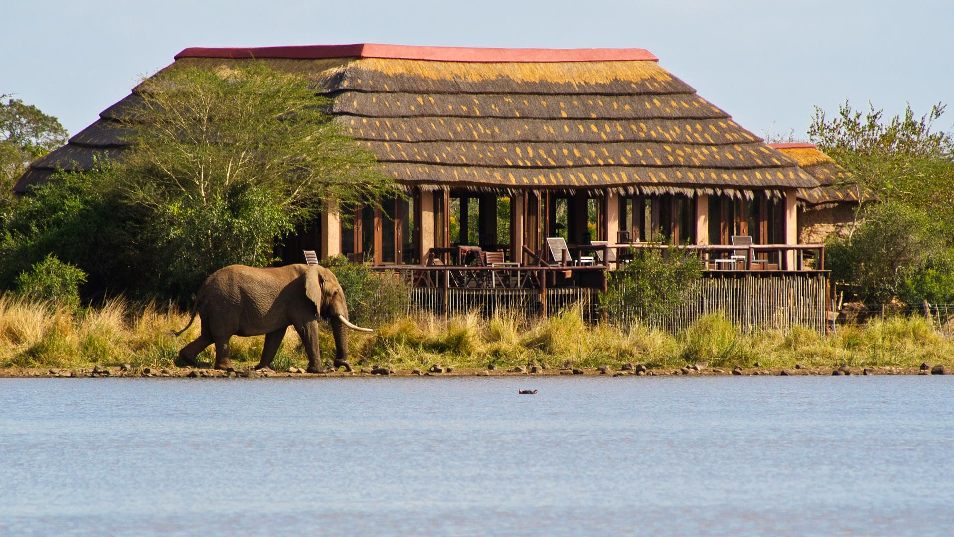 The Top 13 Private Game Lodges Inside Kruger National Park