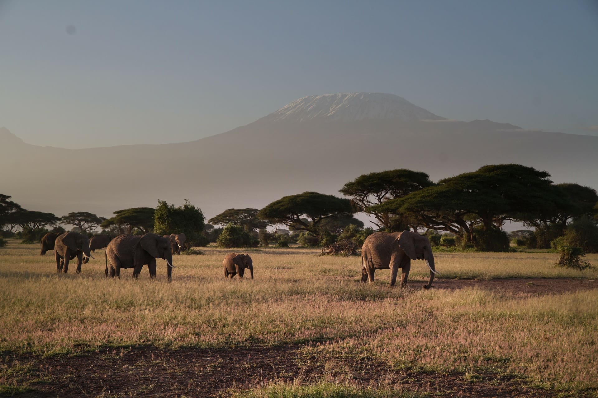 the top 10 national parks in kenya