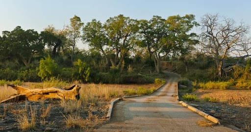 where to stay in kruger national park