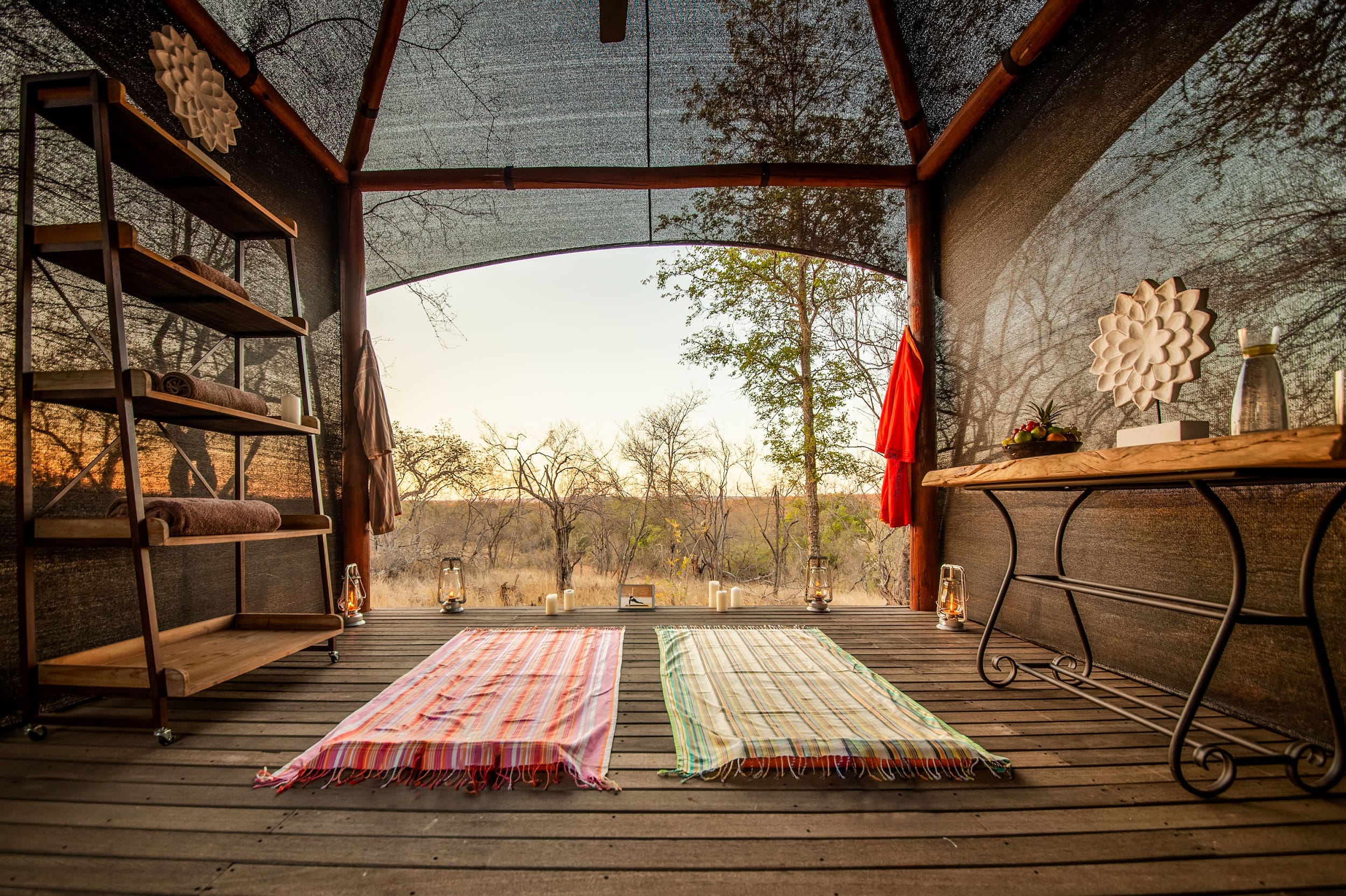 3 Exclusive Safari Experiences That Promote Well-being