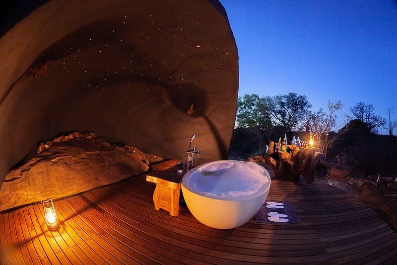 3 Exclusive Safari Experiences That Promote Well-being