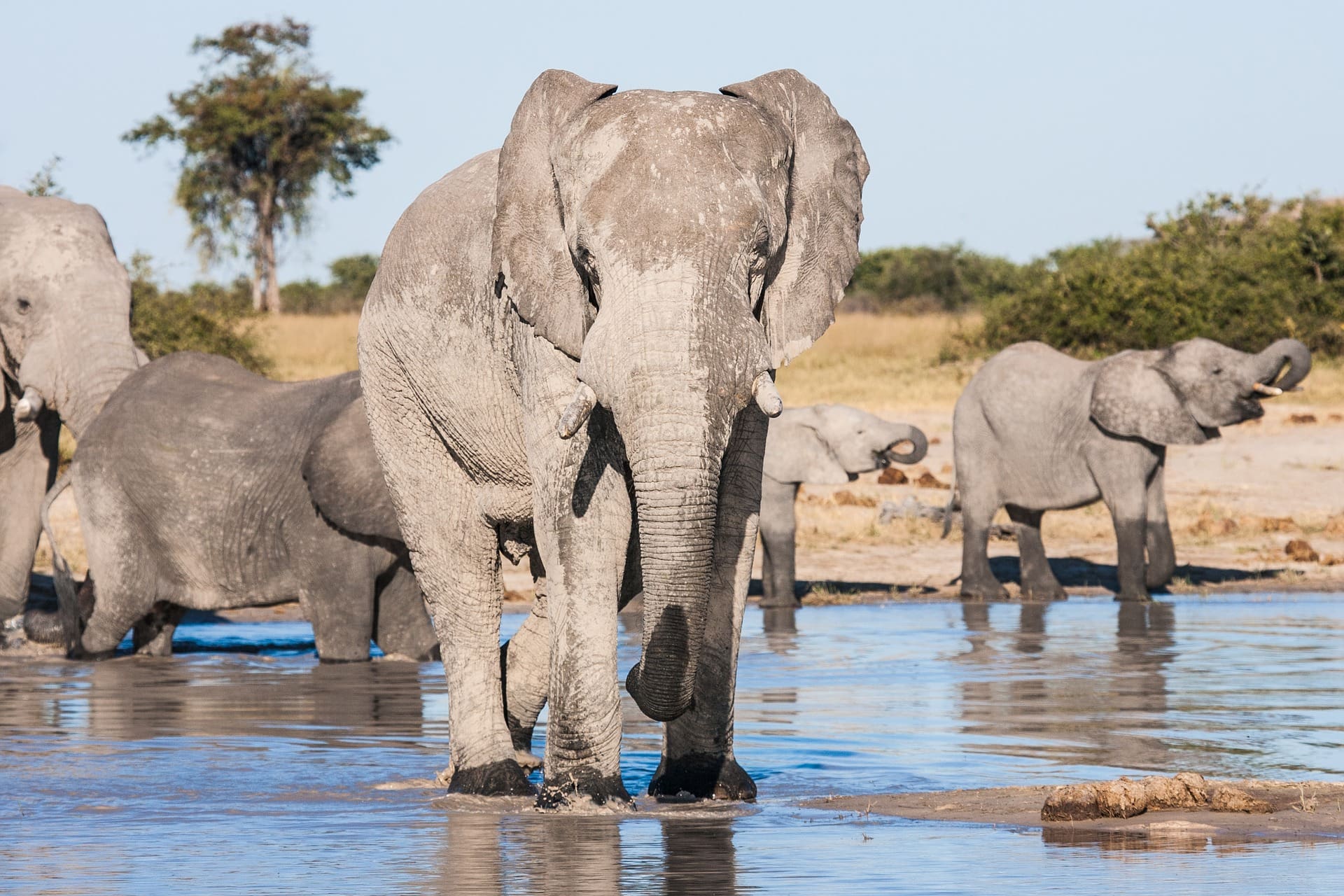 10 Remarkable Places To Visit In Botswana