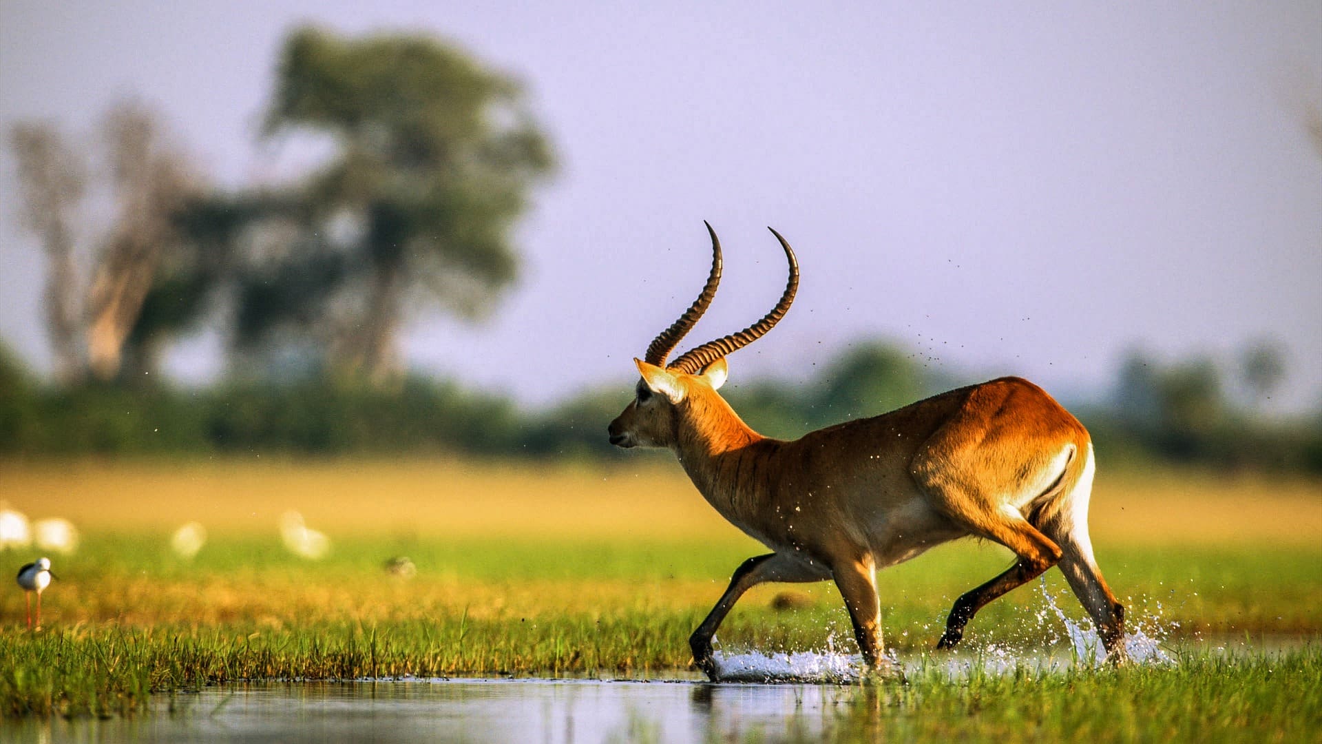 10 Remarkable Places To Visit In Botswana In 2022 Wildest 10 Remarkable Places To Visit In Botswana In 2022 Wildest