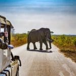 15 Of The Best National Parks In Southern Africa