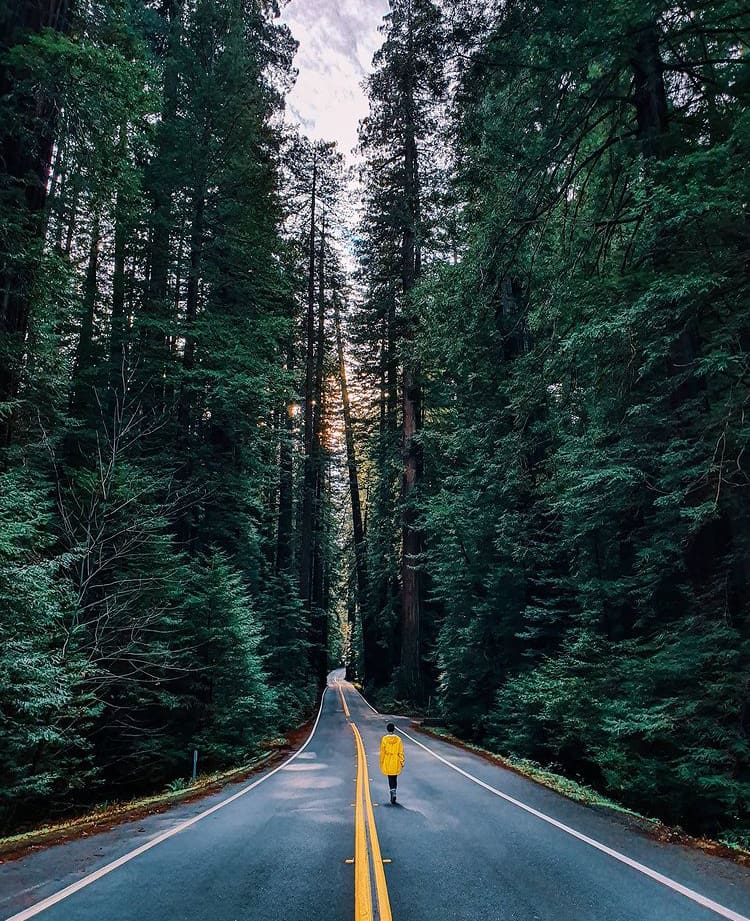 The 10 Best Road Trips On The West Coast