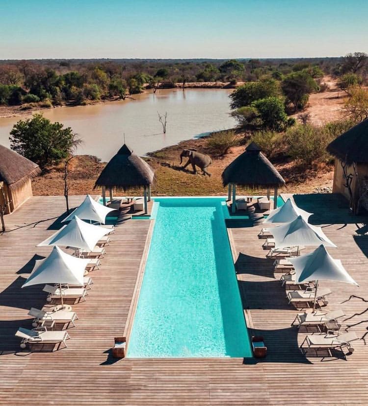 The view from Kapama Game Lodge swimming pool as an elephant walks by - The Best Private Game Reserves in South Africa