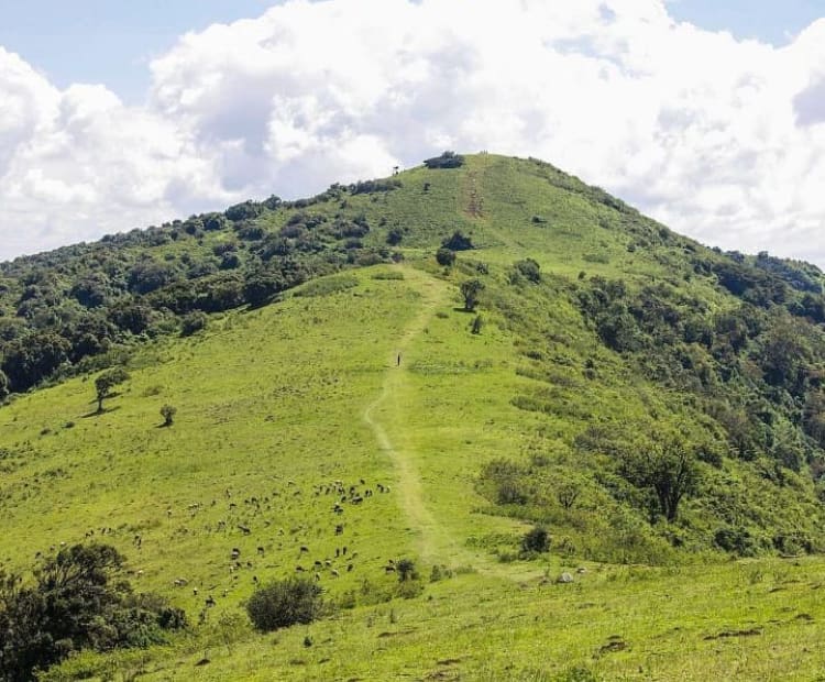 Picturesque walking trail along Ngong Hills