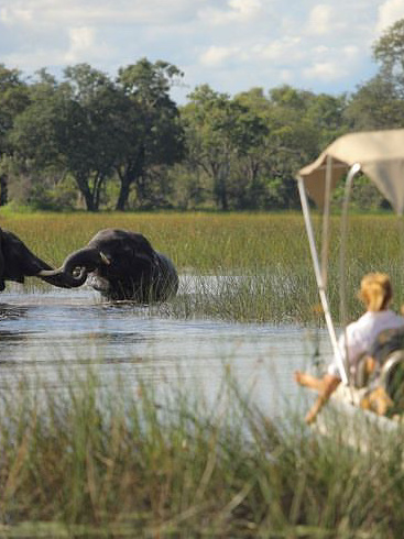 Encountering elephants on a river cruise in the Okavango Delta