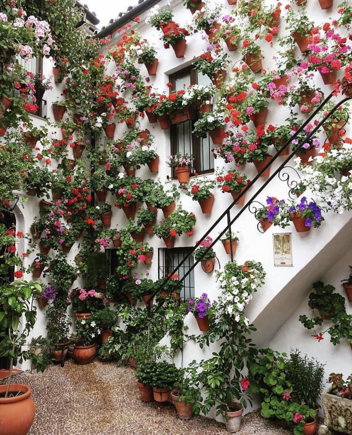 Landscaped front yard in Cordoba