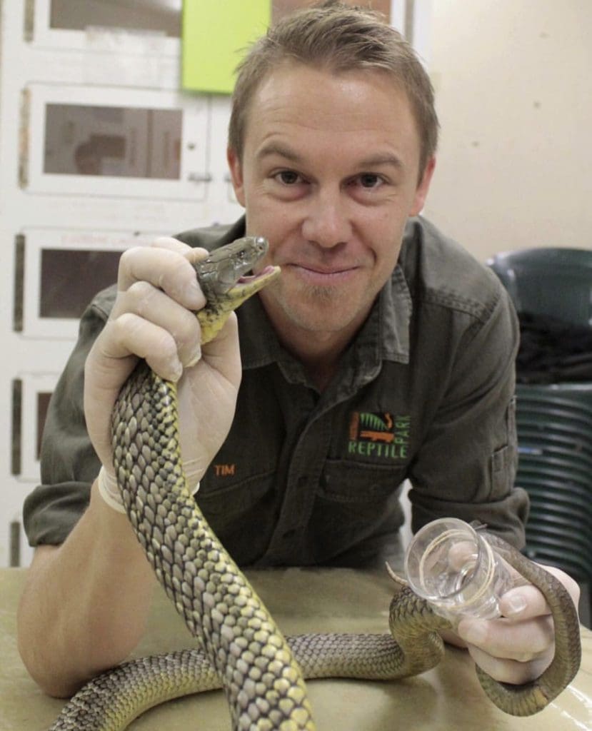 The Ten Most Venomous Snakes in Australia Wildest