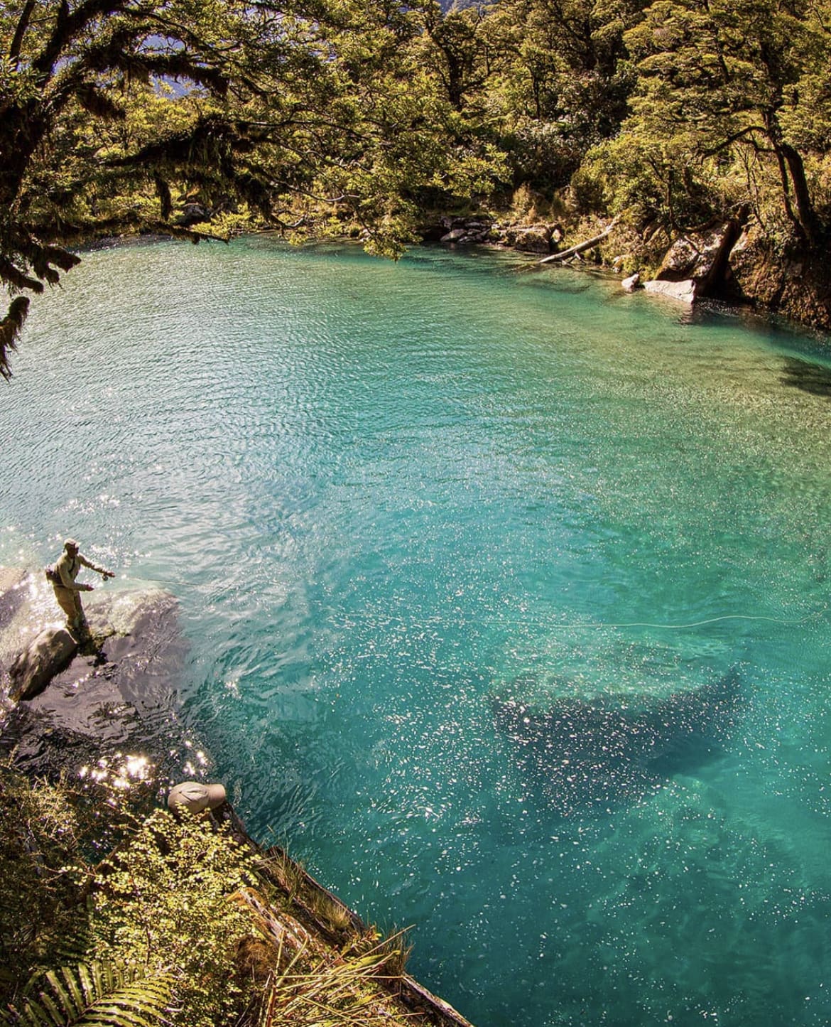 Casting into glacial rivers on New Zealand's South Island