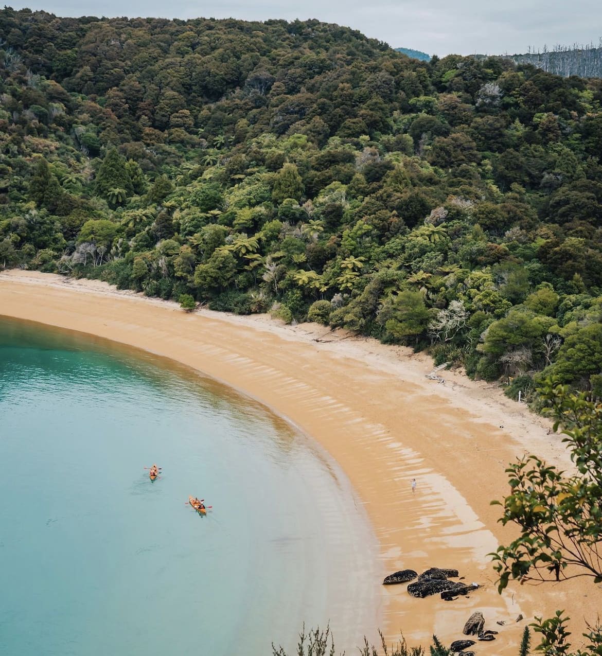 The ristine beaches at Abel Tasman National Park are a must-see place to visit in New Zealand