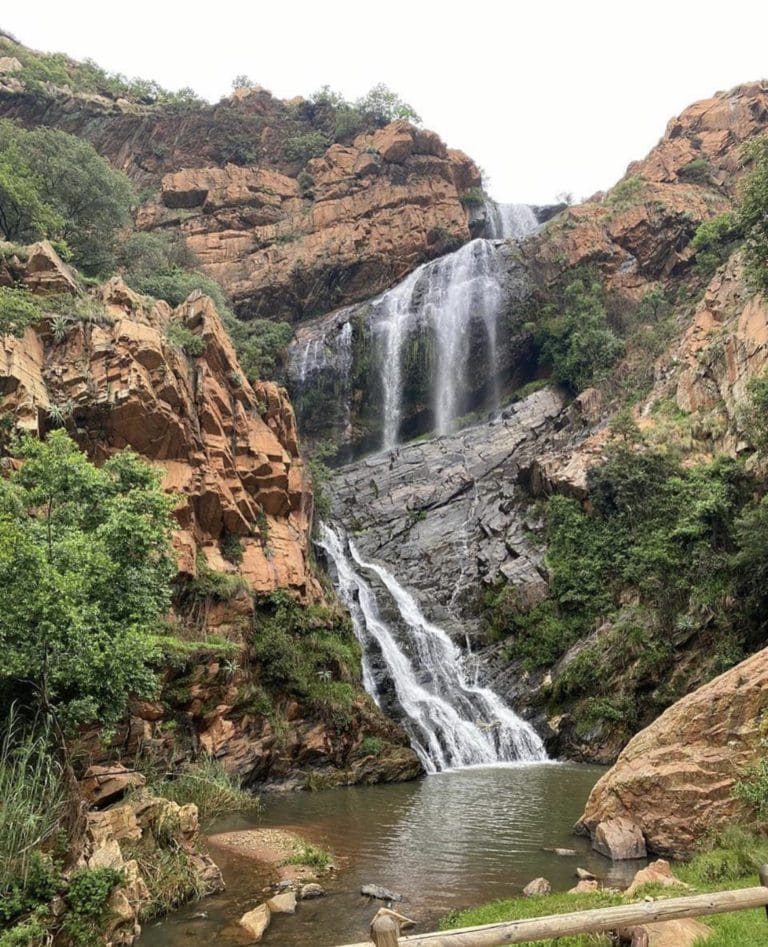 The 10 Best Hikes In Johannesburg Wildest