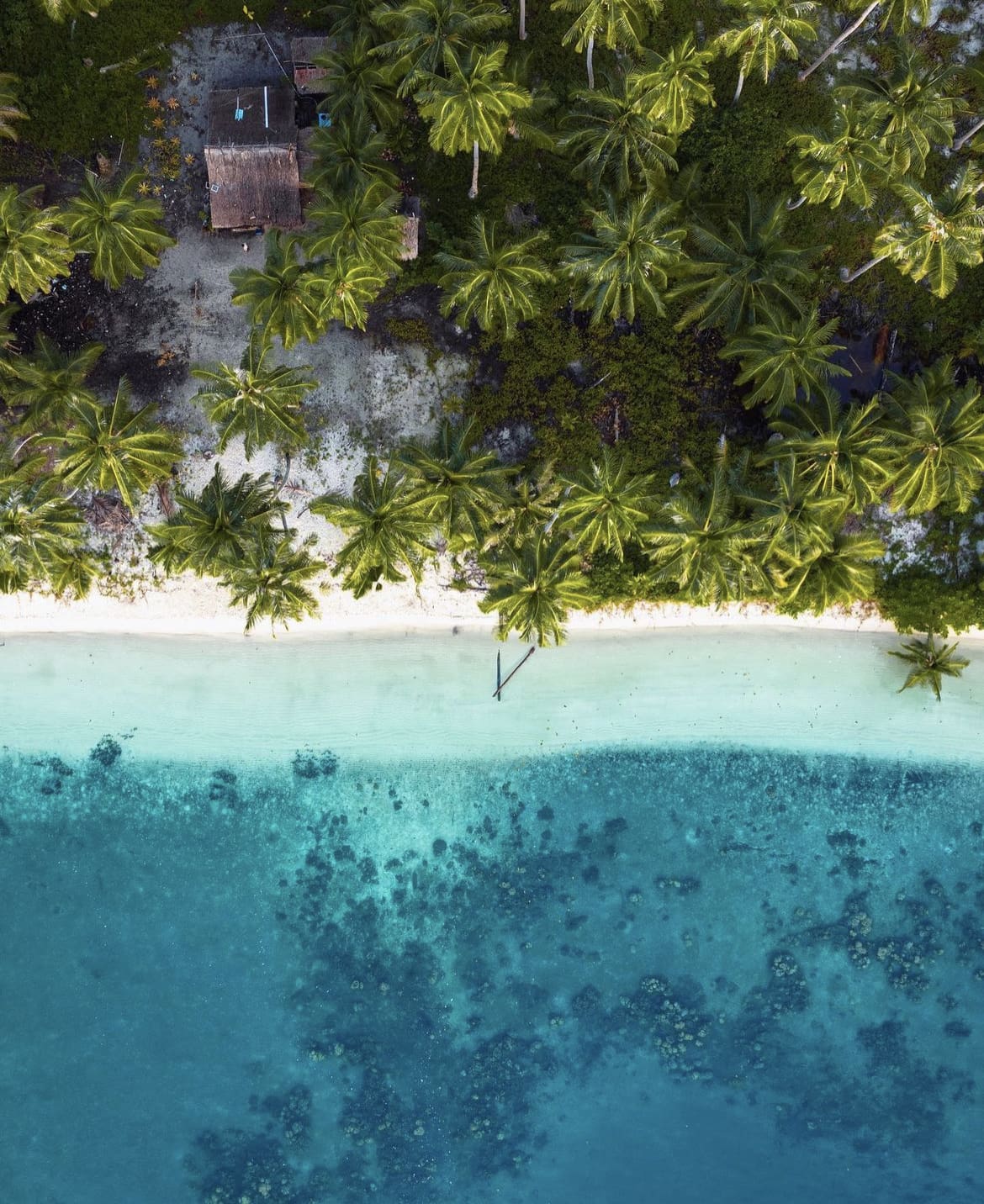 Drone view of Mentawai Islands