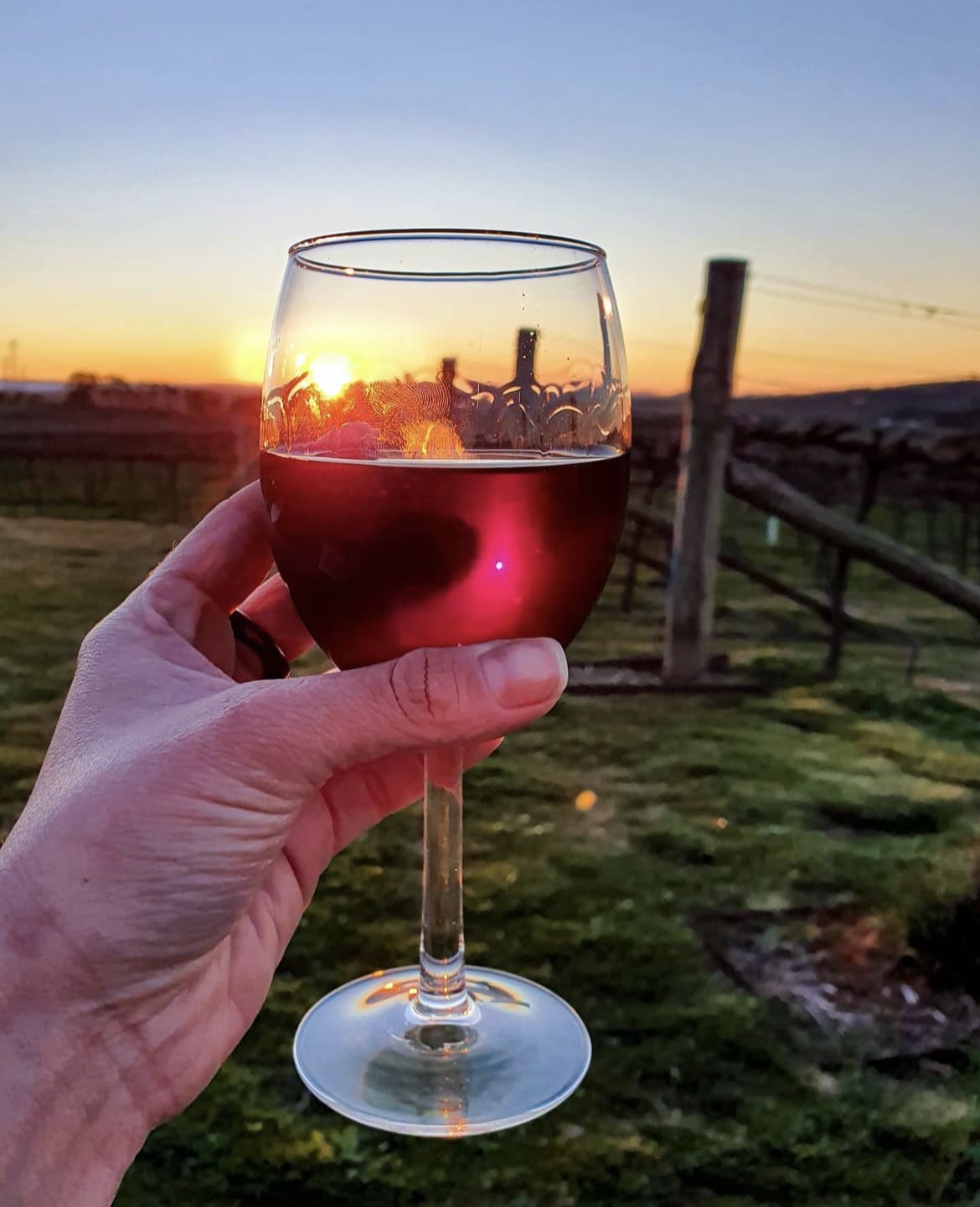 Canberra Wine region