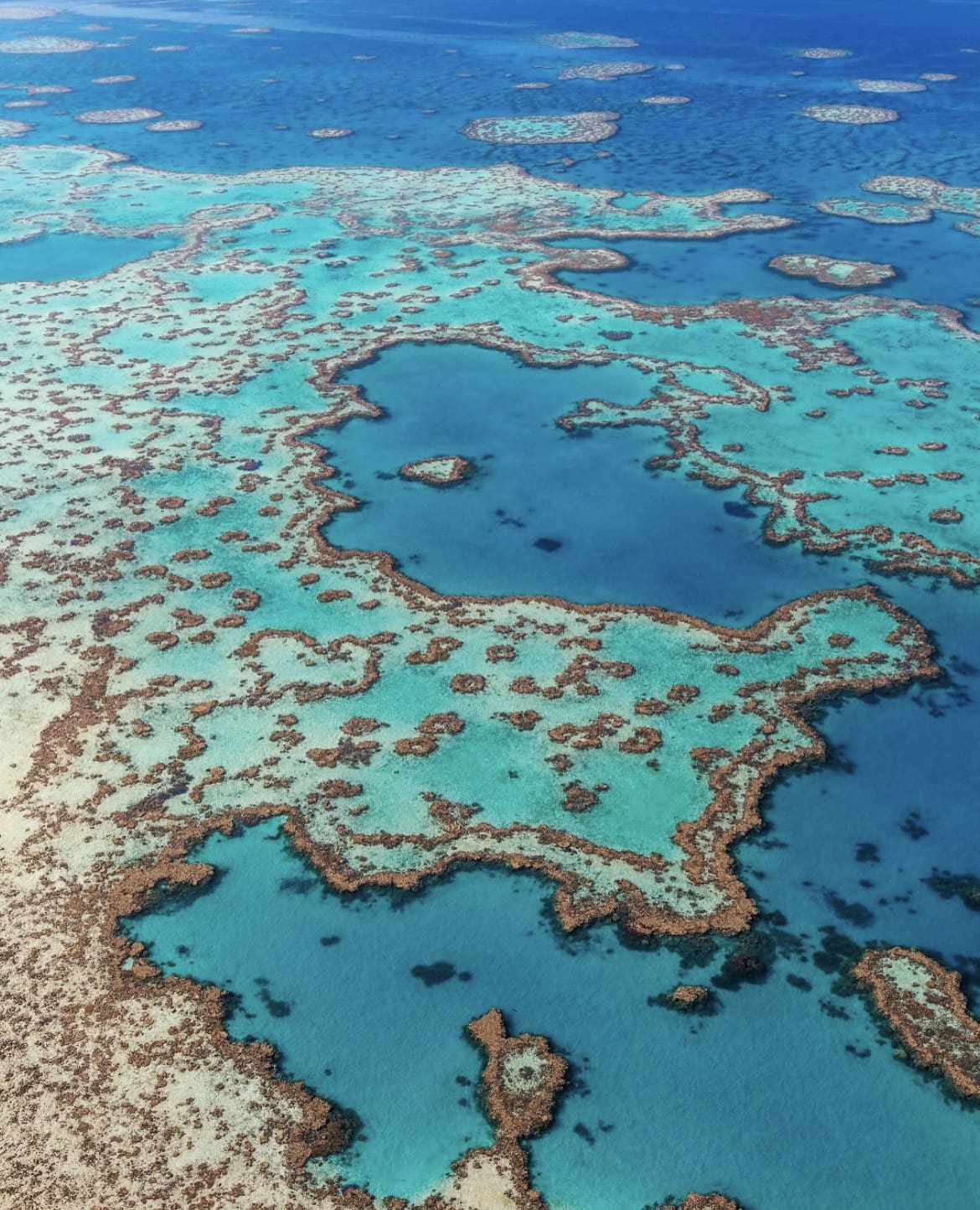 Great Barrier Reef - The 20 Best Things to Do in Cairns, Australia