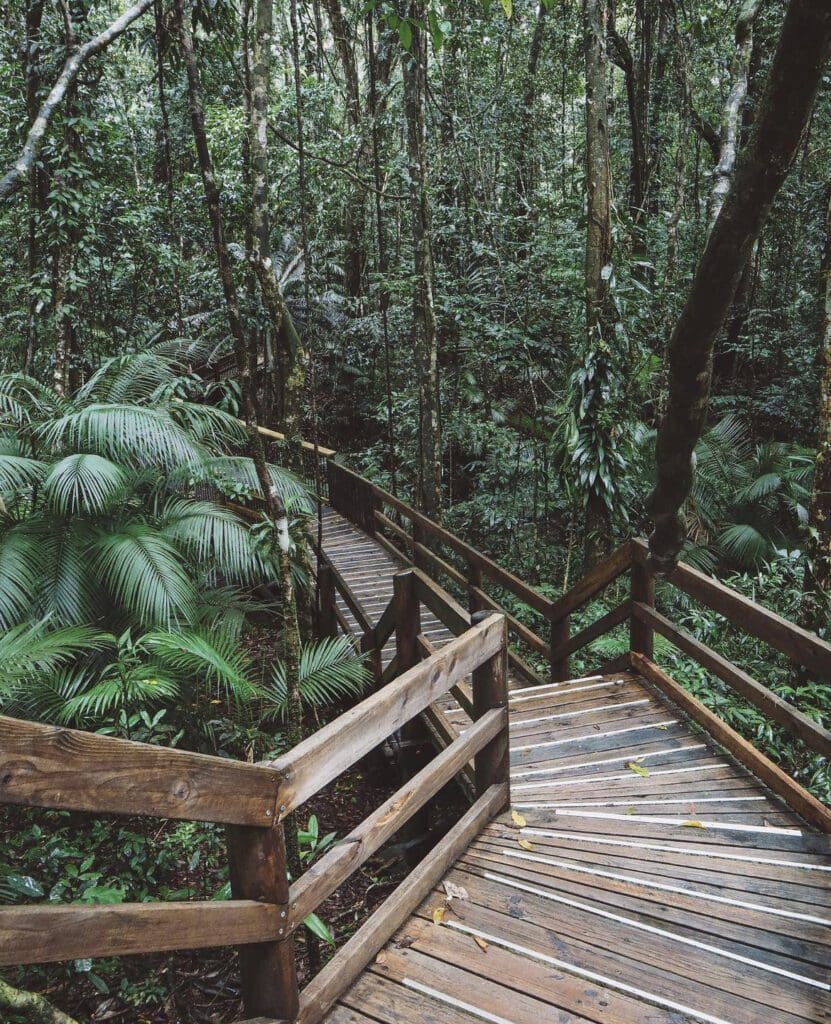 The Top 12 Indigenous Travel Experiences in Australia | Wildest