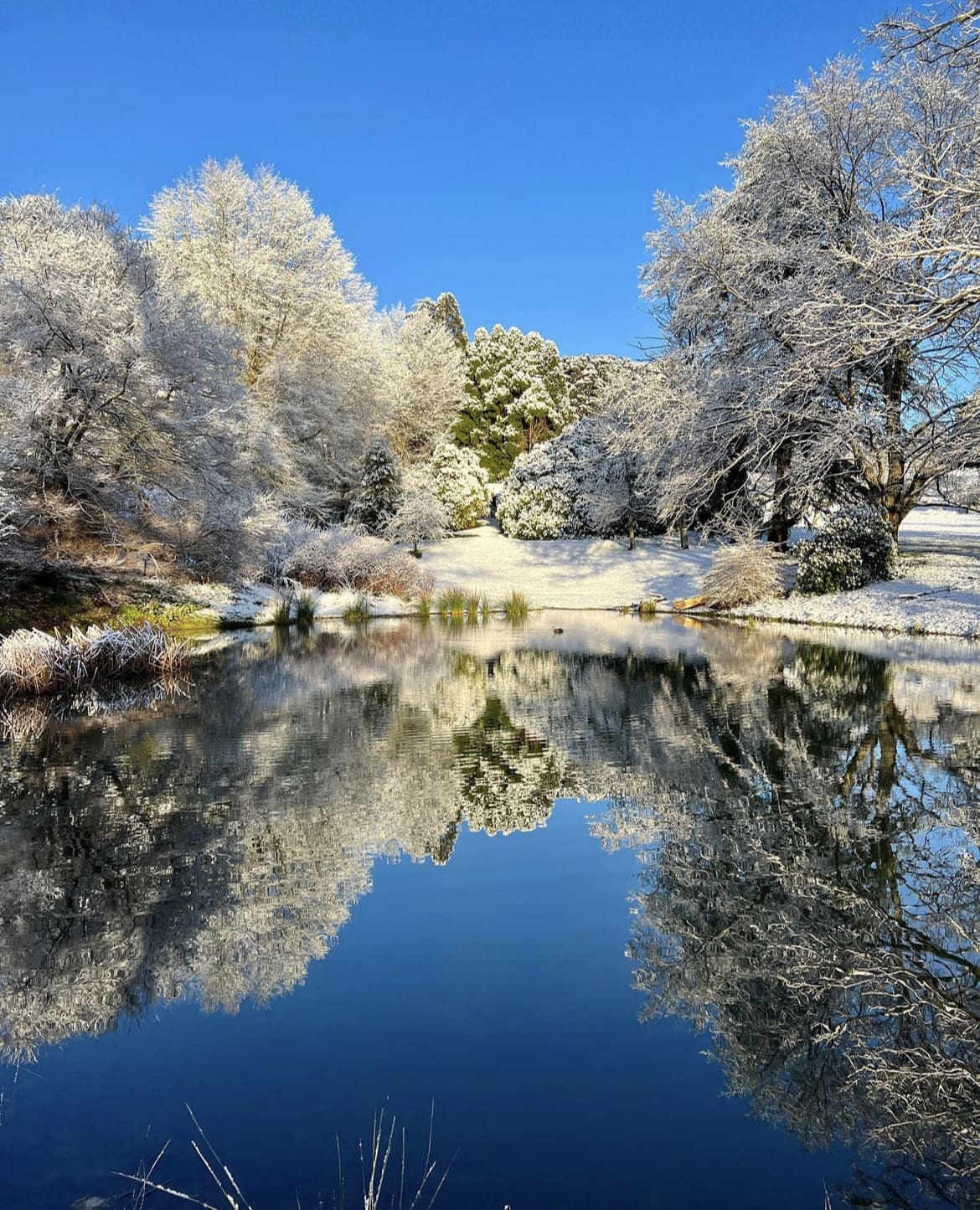 Hillandale Gardens, Australia in winter