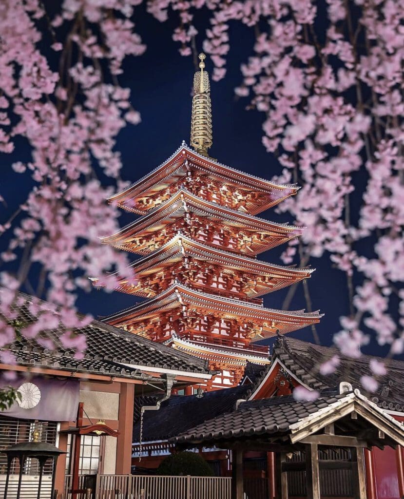 THE 28 BEST THINGS TO DO IN TOKYO visual data 5