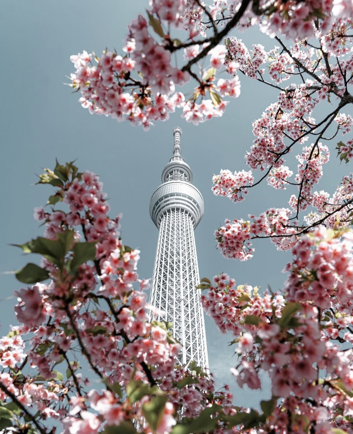 Tokyo Skytree, Japan