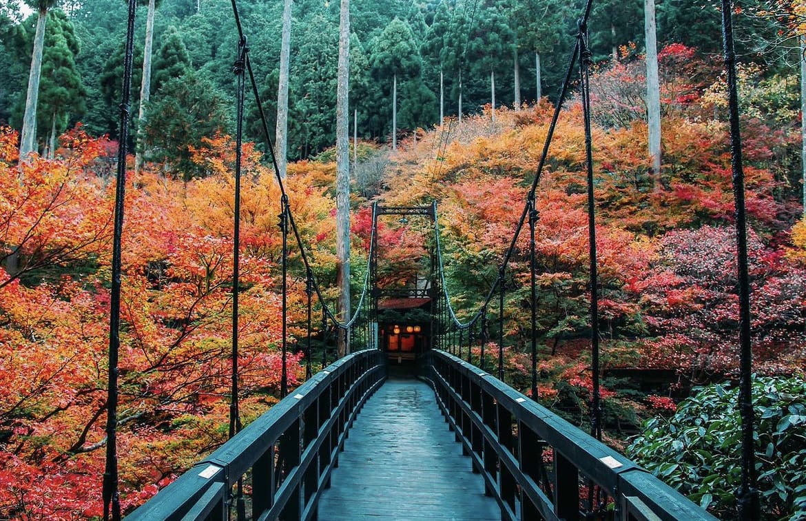 Mt. Takao - The 10 Best Day Trips from Tokyo