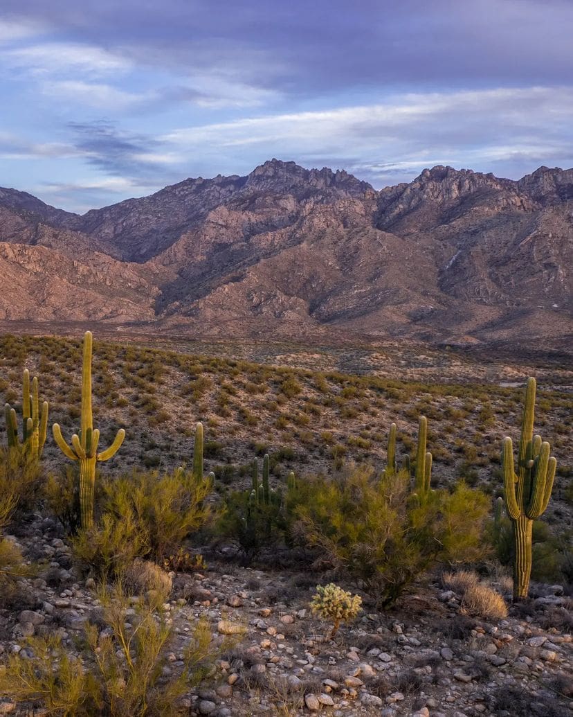 Tucson, Arizona - Hot Places in the US - 15 Scorching Cities