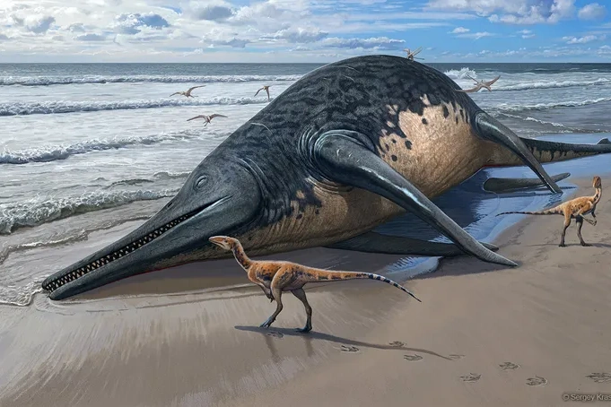 Potential 'Largest Reptile Ever' Discovered On Family Beach Day