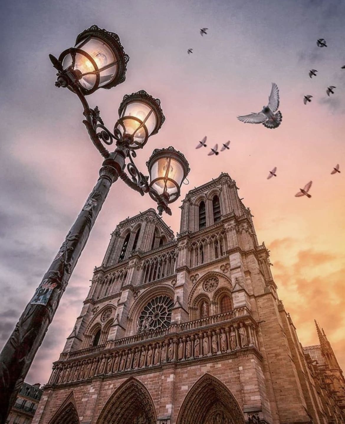Tour Notre-Dame Cathedral - Best Things To Do In Paris