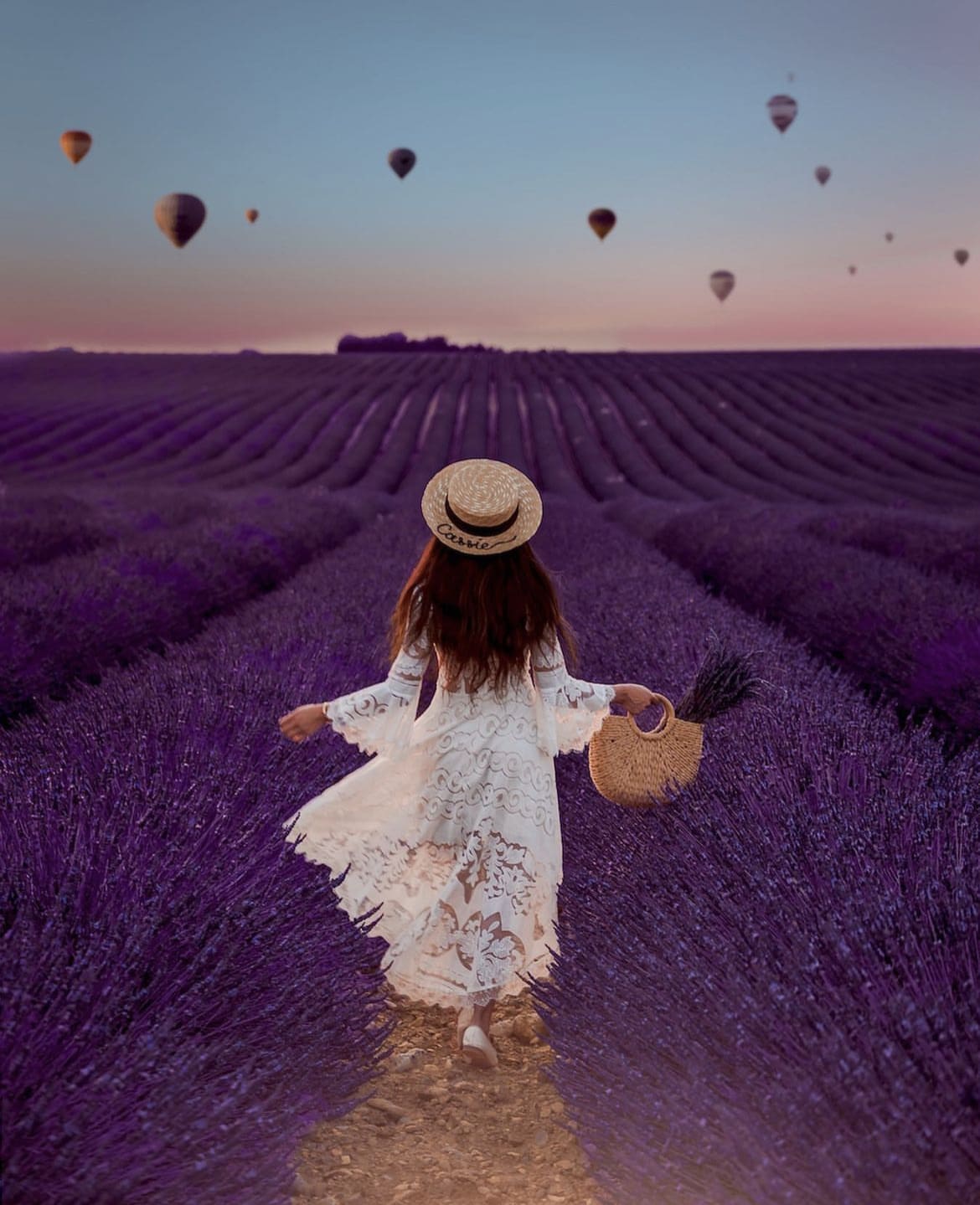 Valensole Plateau - The 10 Best Places to See Lavender Fields in Provence