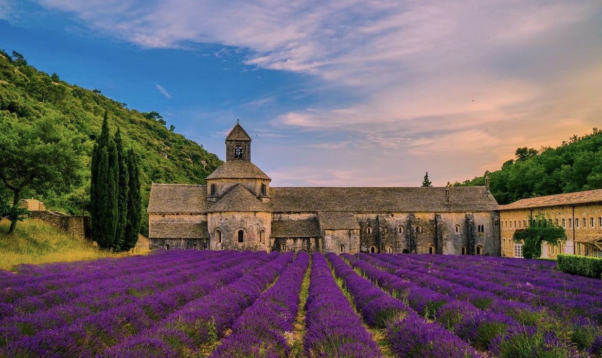 Sénanque Abbey - The 10 Best Places to See Lavender Fields in Provence