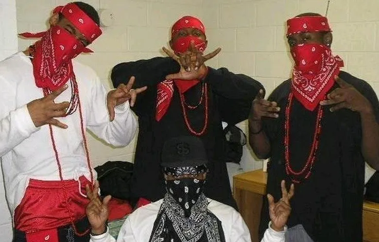 The Bloods - The Biggest Gangs in the US