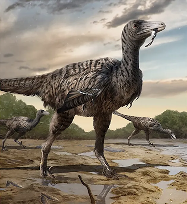 China: Palaeontologists Discover the Largest Raptor Tracks Ever Found