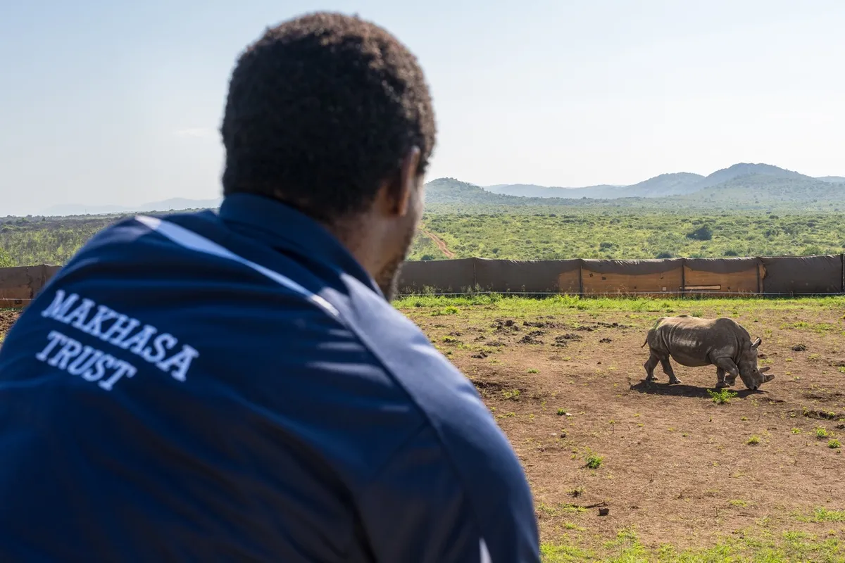Thokozani Mlambo, Chairperson of the Makhasa Trust welcoming the 40 rhinos. Credit: Marcus Westberg
