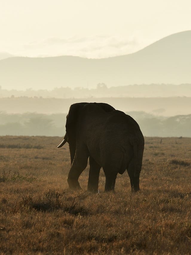 What Is The Time In Kenya?