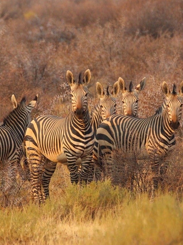 What Is The Time In South Africa?