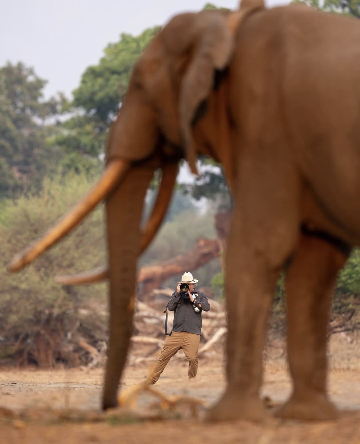 Man photographs elephant