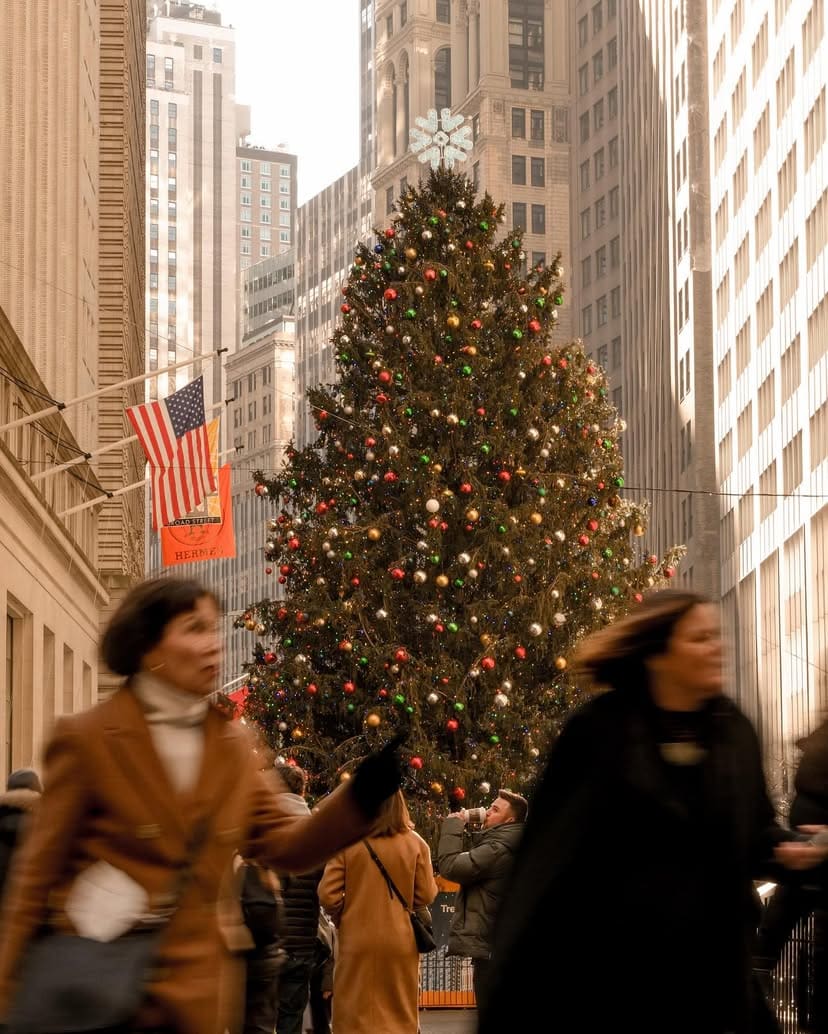 Christmas tree, New York City