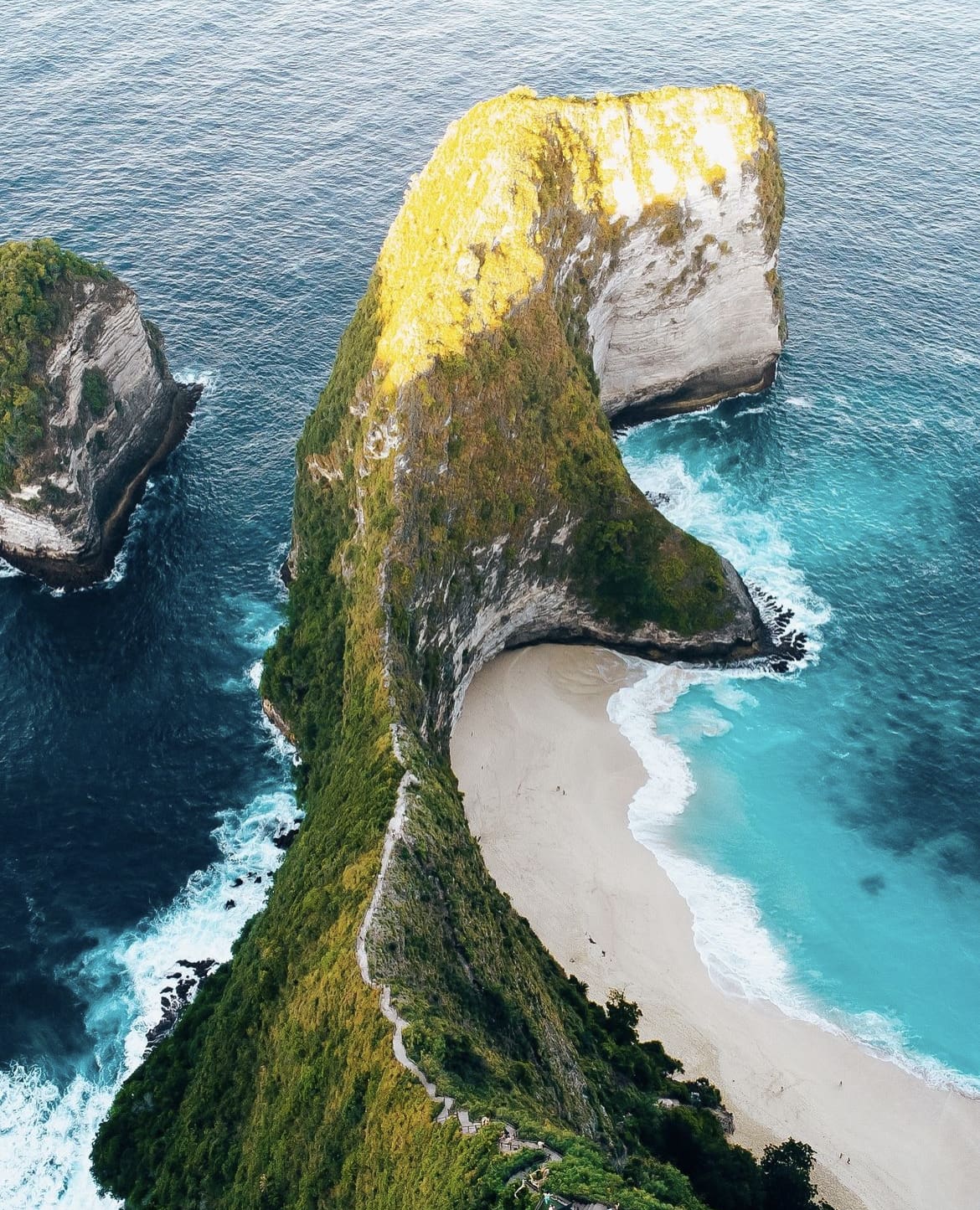 T-rex Bay in Bali, Indonesia