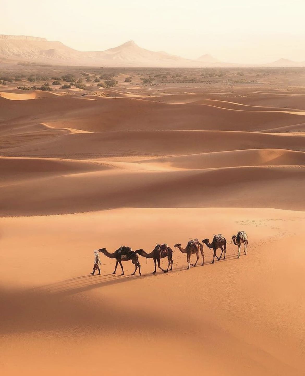 Desert scenes in Morocco - The Best Vacation in January: