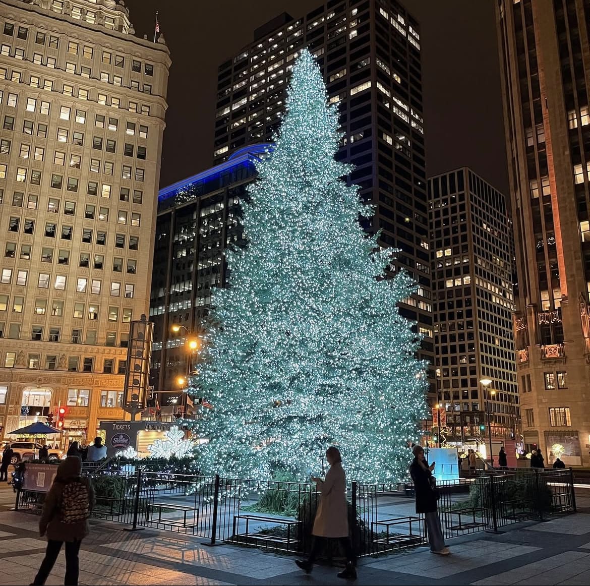 City Christmas Tree in Chicago