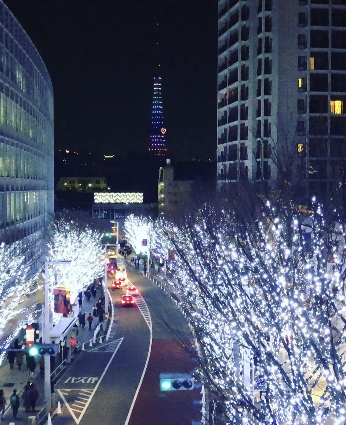 Christmas lights in Roppongi Hills, Tokyo