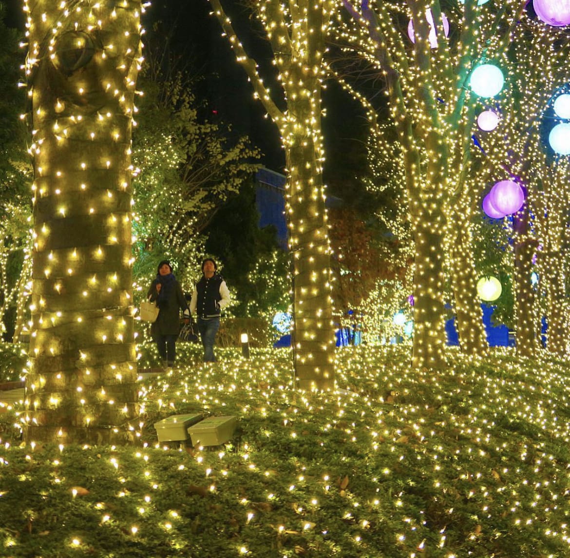 Christmas lights in Tokyo