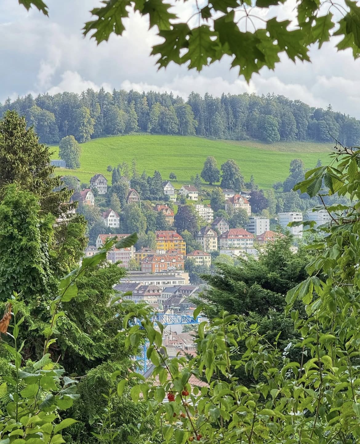 Hillside in St. Gallen - Most Beautiful Cities In Switzerland