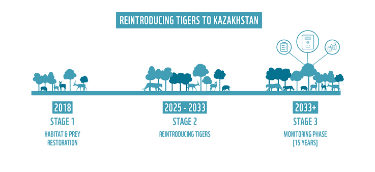 Reintroducing tigers to Kazakhstan