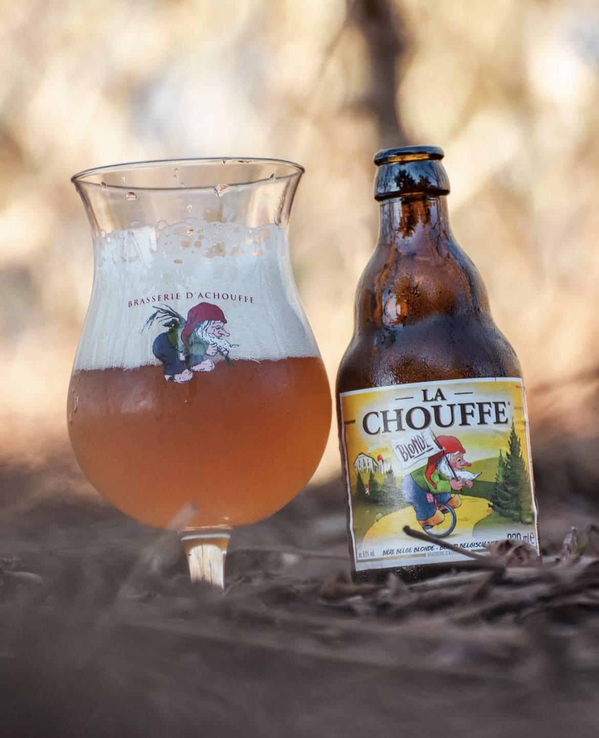 La Chouffe – A Gnome’s Delight - Indulge in the Best Beers in Belgium