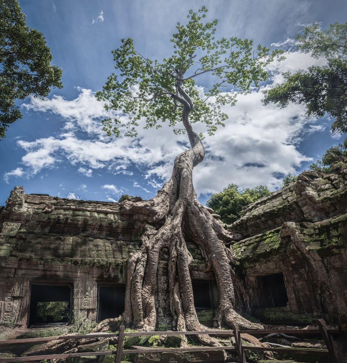 Ta Prohm: The Temple of Tomb Raider Fame - 10 Ancient & Beautiful Temples In Cambodia