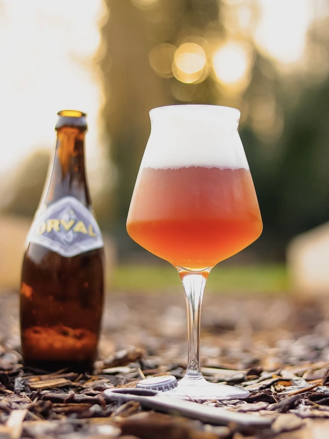 Orval Beer